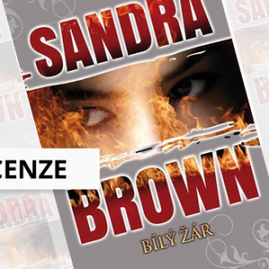 Recenze eknihy Bílý žár - Sandra Brown